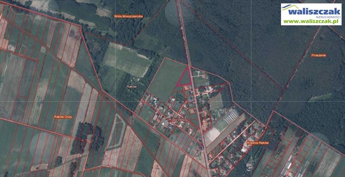 Działka budowlana na sprzedaż Raków 3 400m2 Foto 4