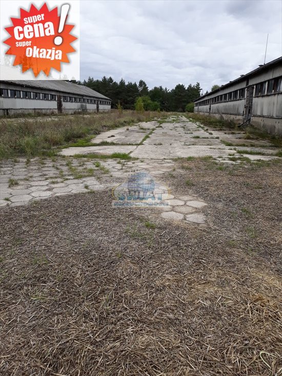 Lokal użytkowy na sprzedaż Piasecznik 61 443m2 Foto 1