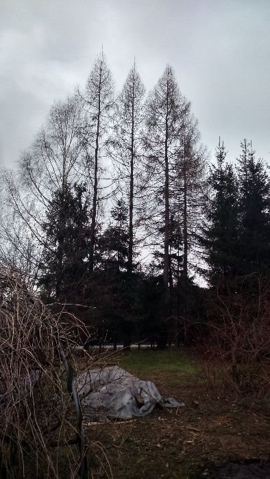Działka budowlana na sprzedaż Kozy, Kęcka 3 552m2 Foto 4