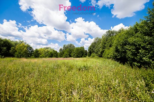 Działka budowlana na sprzedaż Boguchwała, Partyzantów 4 700m2 Foto 1
