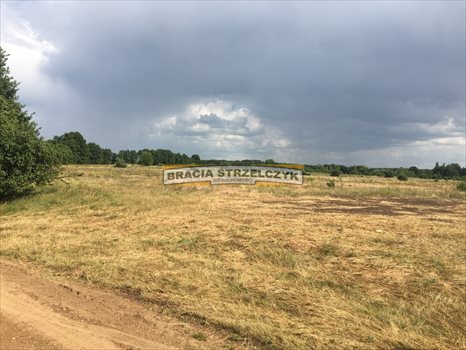 Działka siedliskowa na sprzedaż Stary Lubiel 7 400m2 Foto 6