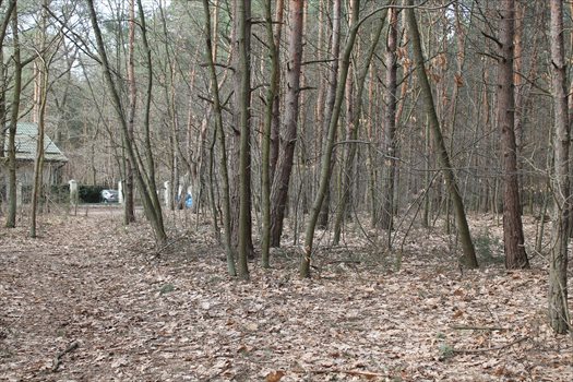 Działka budowlana na sprzedaż Warszawa, Wawer, Izbicka/Koprowa 2 274m2 Foto 3