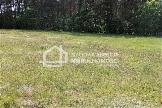 Działka budowlana na sprzedaż Lubowidz 950m2 Foto 4