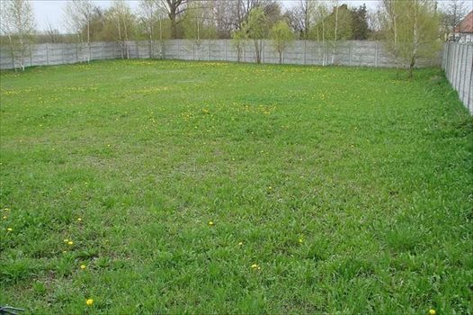 Działka budowlana na sprzedaż Wygoda 1 388m2 Foto 2