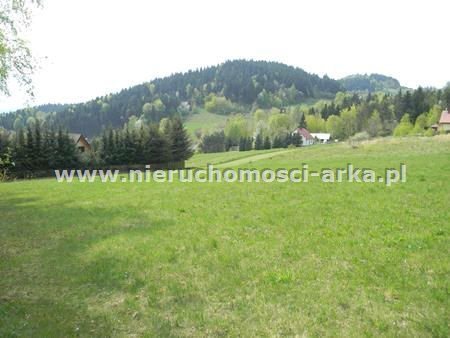 Działka budowlana na sprzedaż Pisarzowa 2 100m2 Foto 9