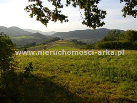 Działka budowlana na sprzedaż Skrzydlna 7 400m2 Foto 1