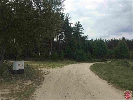 Działka budowlana na sprzedaż Bojano, Jana Chrzciciela 1 307m2 Foto 7