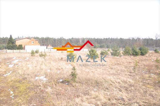 Działka budowlana na sprzedaż Dębnica 1 000m2 Foto 2