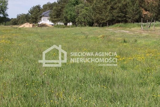 Działka budowlana na sprzedaż Lubowidz 1 160m2 Foto 5