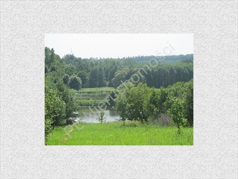 Działka rolna na sprzedaż Gójszcz 1 050m2 Foto 3