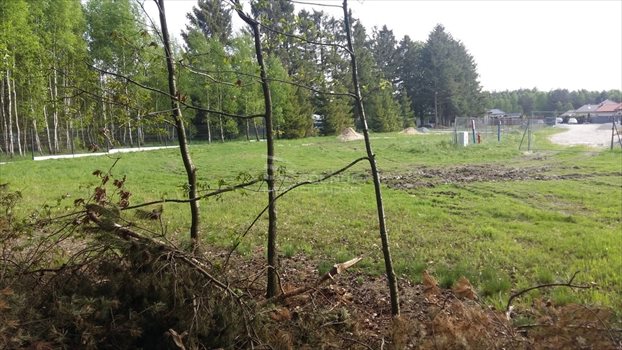 Działka budowlana na sprzedaż Dobrzewino 1 359m2 Foto 3