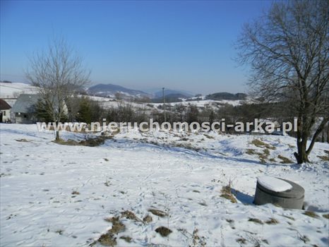 Działka budowlana na sprzedaż Dobra 14 000m2 Foto 4