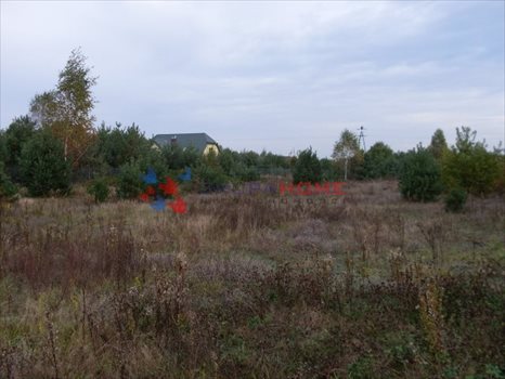 Działka budowlana na sprzedaż Łoś 1 000m2 Foto 2