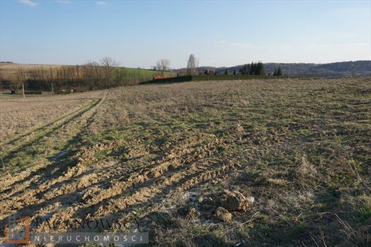 Działka budowlana na sprzedaż Młodziejowice 1 200m2 Foto 2
