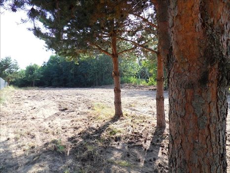 Działka inna na sprzedaż Chełm, Chełm 1 630m2 Foto 6
