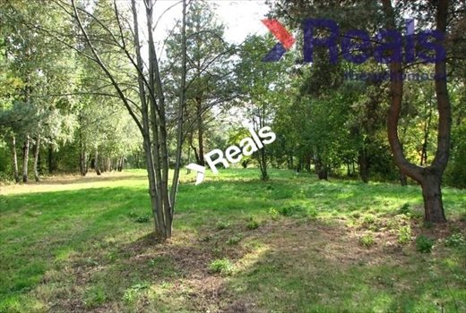 Działka budowlana na sprzedaż Milanówek 1 300m2 Foto 2