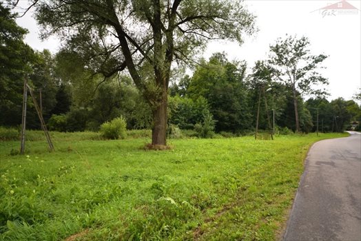 Działka budowlana na sprzedaż Przybówka 4 300m2 Foto 3