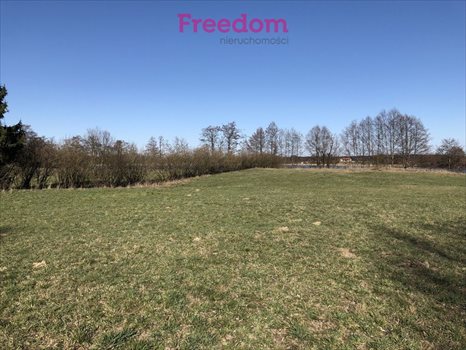 Działka inna na sprzedaż Krzywe 7 900m2 Foto 6