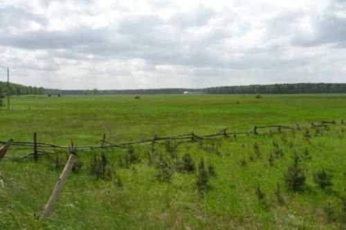 Działka rolna na sprzedaż Toporów 14 300m2 Foto 5