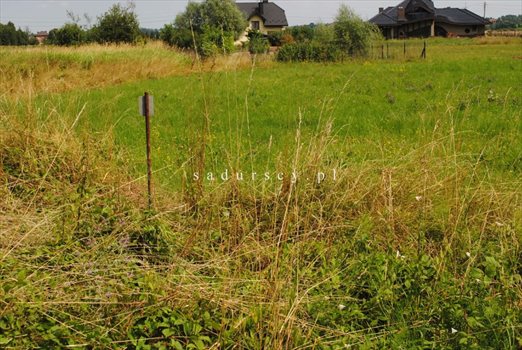 Działka budowlana na sprzedaż Nieszkowice Małe 1 205m2 Foto 5