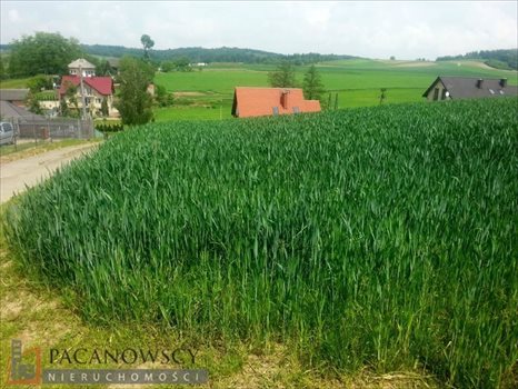 Działka budowlana na sprzedaż Masłomiąca 1 200m2 Foto 3