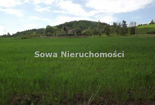 Działka budowlana na sprzedaż Wałbrzych, Poniatów 1 300m2 Foto 1