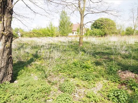 Działka inna na sprzedaż Chełm, Chełm 1 156m2 Foto 1