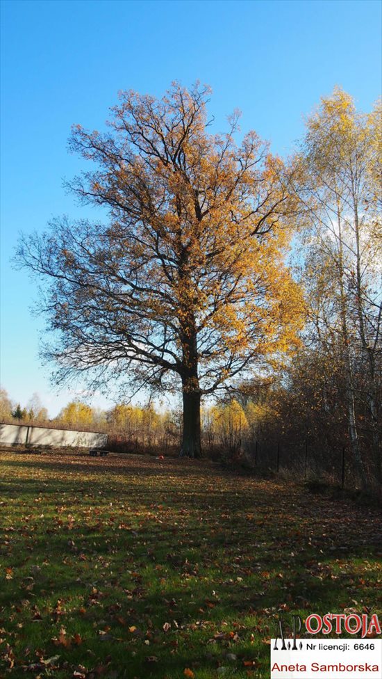 Dom na sprzedaż Środa Śląska 197m2 Foto 2