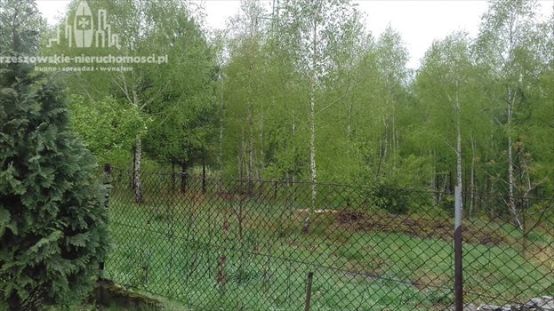 Działka budowlana na sprzedaż Kielanówka 1 200m2 Foto 2
