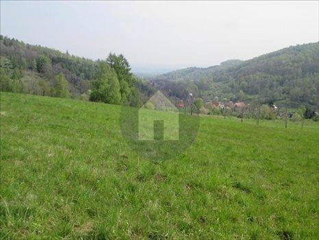 Działka budowlana na sprzedaż Pieszyce, Rościszów 3 000m2 Foto 3