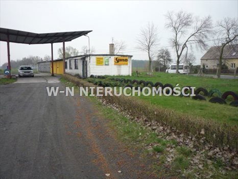 Działka inwestycyjna na sprzedaż Sława, Krzepielów 11 700m2 Foto 4