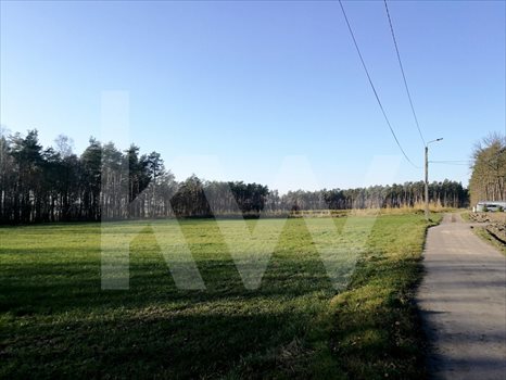 Działka budowlana na sprzedaż Brzeźce 3 700m2 Foto 6