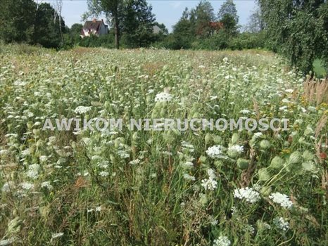 Działka budowlana na sprzedaż Skierniewice 1 100m2 Foto 1