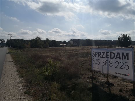 Działka budowlana na sprzedaż Biała, Szczawińska 4 500m2 Foto 3