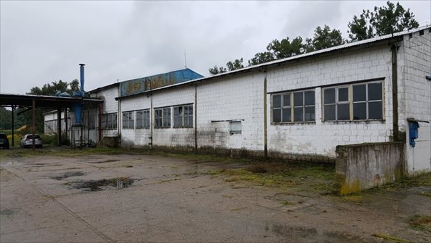 Lokal użytkowy na sprzedaż Szamotuły, Ludwikowo 4 200m2 Foto 4