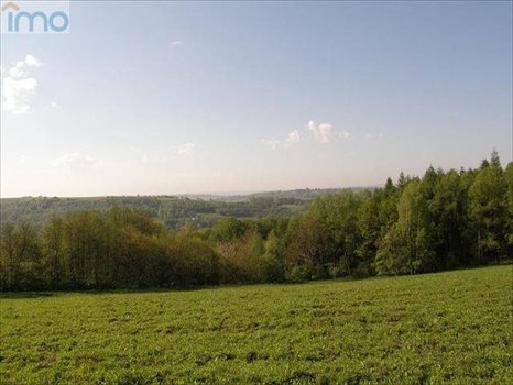 Działka budowlana na sprzedaż Kielnarowa 1 450m2 Foto 2