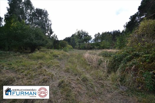 Działka siedliskowa na sprzedaż Biała 28 600m2 Foto 3
