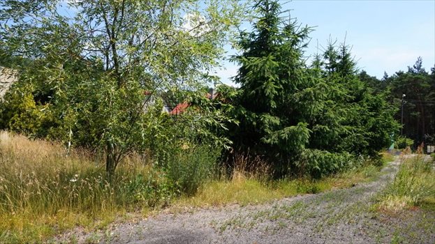 Dom na sprzedaż Daszewice, Szkolna 105m2 Foto 3