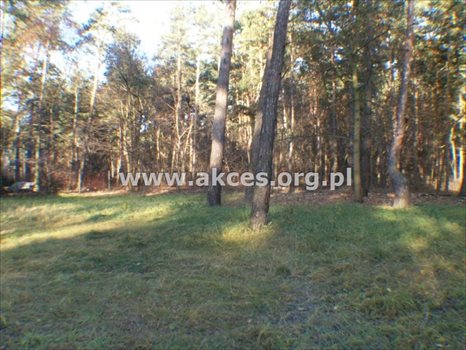 Działka budowlana na sprzedaż Otwock, Świder 1 325m2 Foto 3