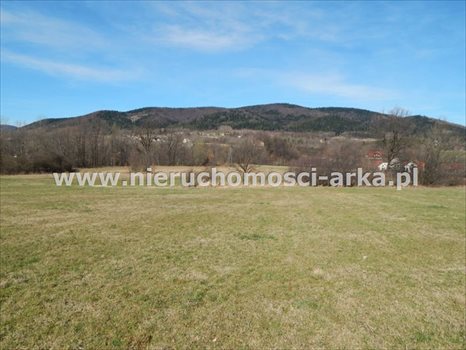 Działka budowlana na sprzedaż Skrzydlna 922m2 Foto 1