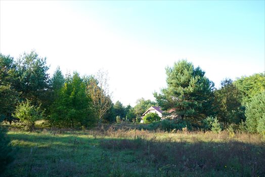 Działka komercyjna na sprzedaż Radziejowice-Parcel 3 900m2 Foto 2