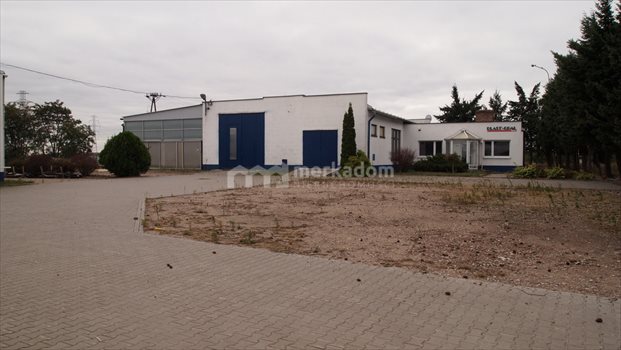 Lokal użytkowy na sprzedaż Buk 1 500m2 Foto 5