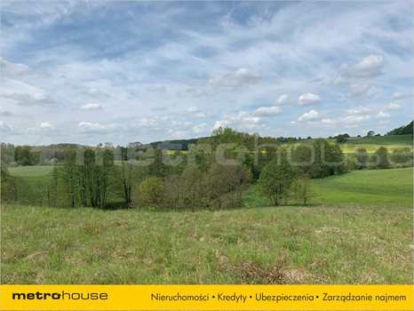 Działka inna na sprzedaż Trzepowo, Przywidz 1 001m2 Foto 3