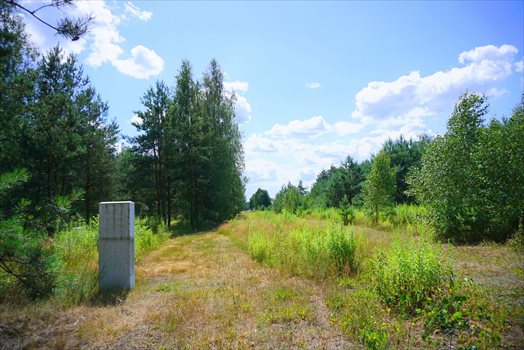 Działka budowlana na sprzedaż Osowiec 2 100m2 Foto 3