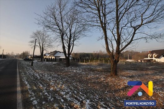 Działka budowlana na sprzedaż Droszków 2 500m2 Foto 3