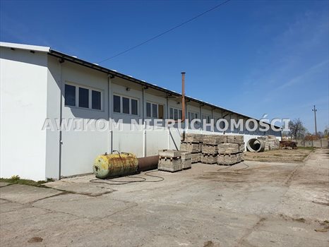 Lokal użytkowy na sprzedaż Teresin 6 975m2 Foto 10
