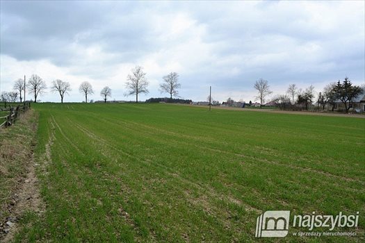 Działka inna na sprzedaż Rokocin 20 694m2 Foto 12