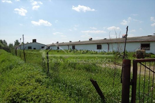Lokal użytkowy na wynajem Nowogród, Nowogród 830m2 Foto 3
