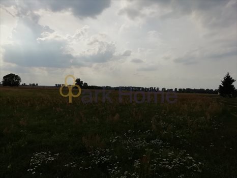 Działka budowlana na sprzedaż Leszno, Zaborowo 742m2 Foto 3