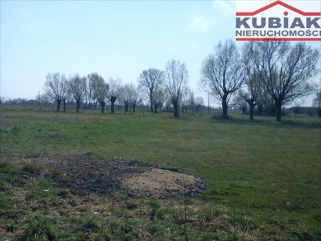 Działka rolna na sprzedaż Mokre 13 000m2 Foto 2